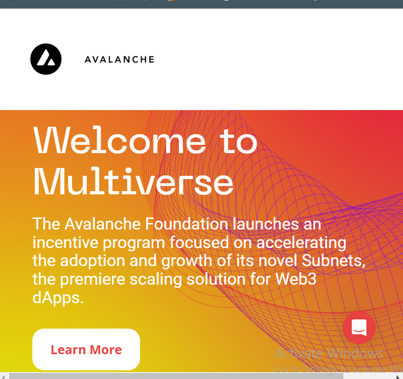 A screenshot of https://www.avax.network/